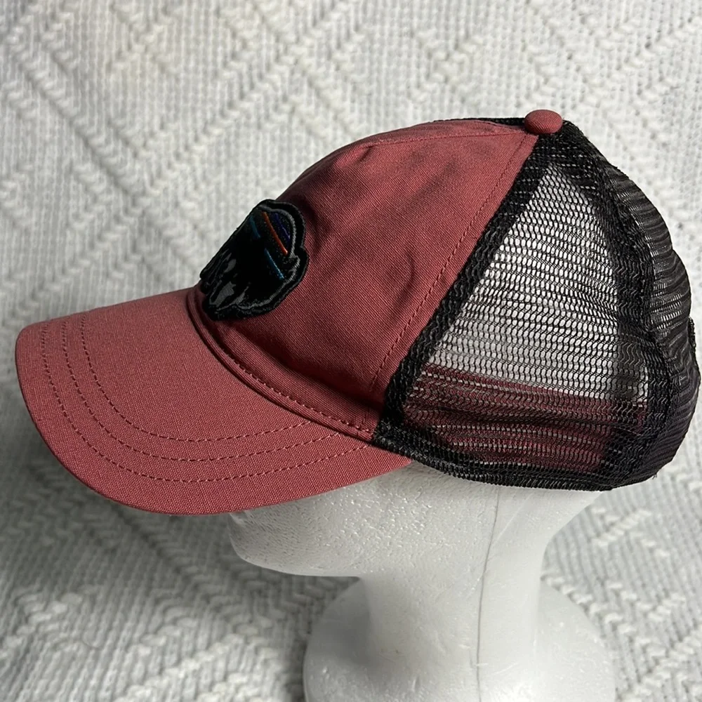 Patagonia Fitz Roy Bison Trucker hat